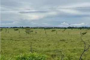 Gleba no Bela Vista (foto 2 de 3)