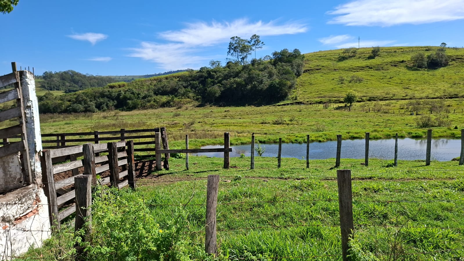 Gleba em leilão