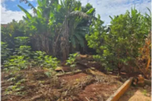 Casa no Jardim ABC (foto 6 de 17)
