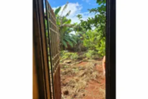 Casa no Jardim ABC (foto 7 de 17)