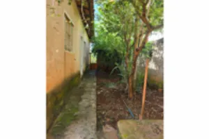 Casa no Jardim ABC (foto 5 de 17)