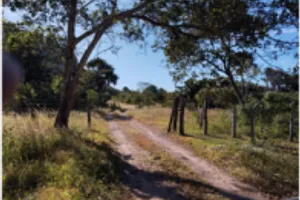 Gleba no Zona Rural (foto 2 de 9)