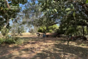 Gleba no Nogueira (foto 4 de 10)