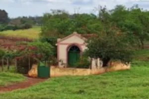 Gleba no Gleba A (foto 13 de 19)