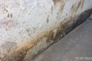 Casa no Alto da Estação (foto 15 de 29)