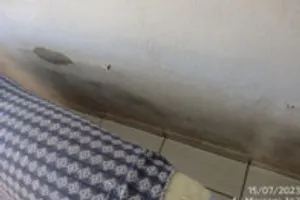 Casa no Alto da Estação (foto 16 de 29)