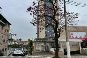 Apartamento no Vila Paranaguá. (foto 2 de 5)