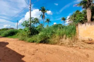 Terreno no Chácaras Bandeirantes (foto 4 de 20)