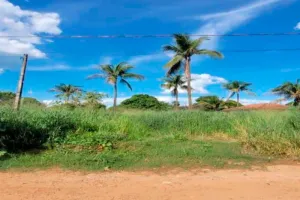 Terreno no Chácaras Bandeirantes (foto 5 de 20)