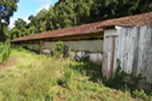 Gleba (foto 2 de 7)