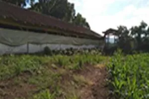 Gleba (foto 5 de 7)