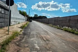 Casa no Cidade Jardim (foto 7 de 8)