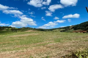 Gleba no Zona Rural. (foto 6 de 11)