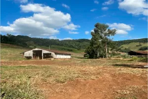 Gleba no Zona Rural. (foto 8 de 11)