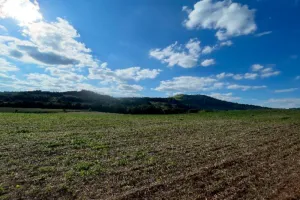 Gleba no Zona Rural. (foto 3 de 11)