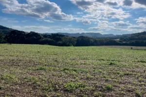 Gleba no Zona Rural. (foto 9 de 11)