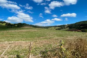 Gleba no Zona Rural. (foto 2 de 11)