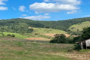 Gleba no Zona Rural. (foto 7 de 11)