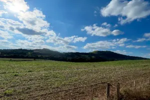 Gleba no Zona Rural. (foto 5 de 11)