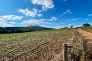 Gleba no Zona Rural. em Anchieta/SC — foto 1