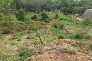 Terreno no Vivendas do Engenho DÁgua (foto 5 de 8)
