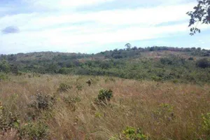 Gleba no Zona Rural em Tiros/MG — foto 1