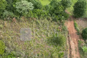 Terreno no Não informado (foto 4 de 7)