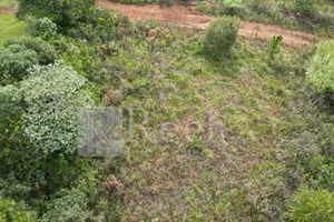 Terreno no Não informado (foto 6 de 7)