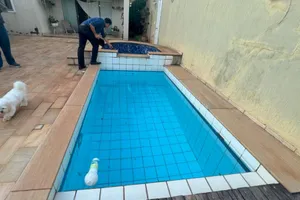 Casa (foto 15 de 28)